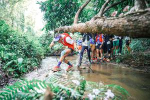 BIB: 
                            <button type="button" onclick="openModal(25471748)" class="btn btn-primary btn-sm float-right btn-popup" data-toggle="modal" data-target=".modal-high-quality">
                        <i class="fas fa-shopping-cart"></i> Add to Cart
                    </button>
                                            <button type="button" onclick="isThisMe(25471748, true)" class="btn btn-success btn-sm float-right btn-popup btn-isme hidden" data-toggle="tooltip" data-placement="bottom" title="นี่คือรูปของคุณใช่ไหม คลิกที่นี่เพื่อเอาเข้าอัลบั้ม">
                        <i class="fas fa-plus"></i> Add to album
                    </button>
                    <button type="button" onclick="isThisMe(25471748, false)" class="btn btn-warning btn-sm float-right btn-popup btn-isnotme hidden">
                        <i class="fas fa-ban"></i> Remove from album
                    </button>